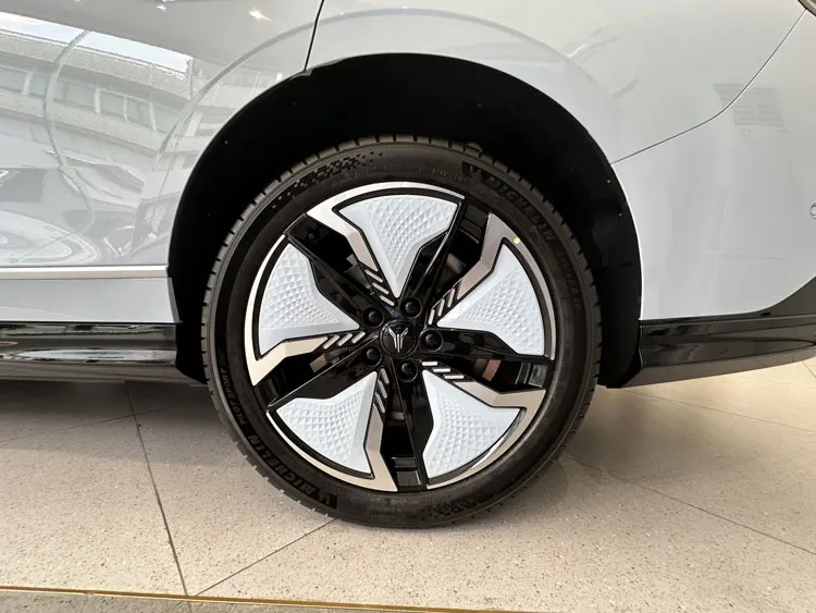 New energy vehicles pure electric VOYAH 625Km 100kwh  SUV new cars electric vehicle