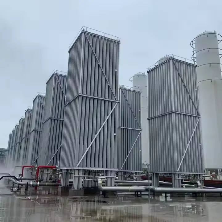 Stainless Steel 200Nm3/H Cryogenic Liquid Oxygen Nitrogen Argon Hydrogen Lng Co2  Gas Air Ambient Steam Vaporizer