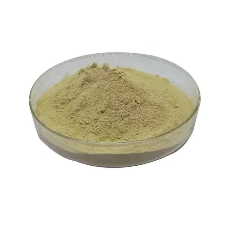 Food Thickener CAS 11138-66-2 Xanthan Gum For Frozen Foods Sugar Cans Bread