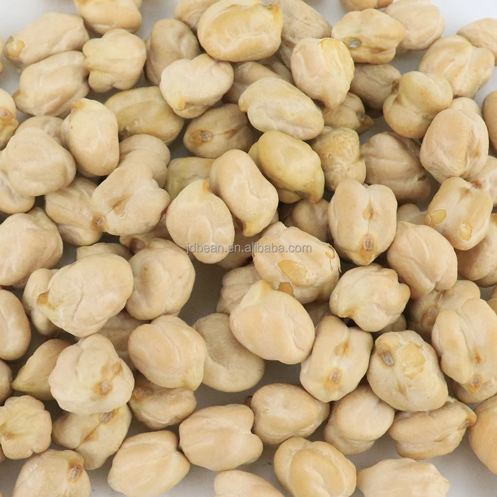 Оптовая продажа сырые Нуты органические сушеные Desi белые куриные горошины Kabuli