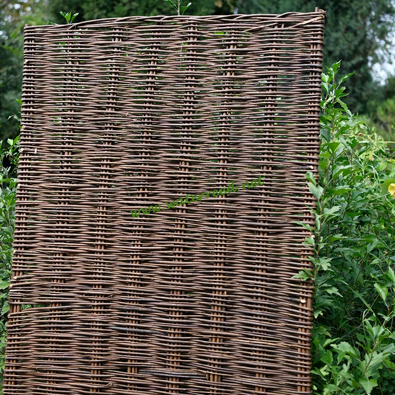willowpanel4.jpg