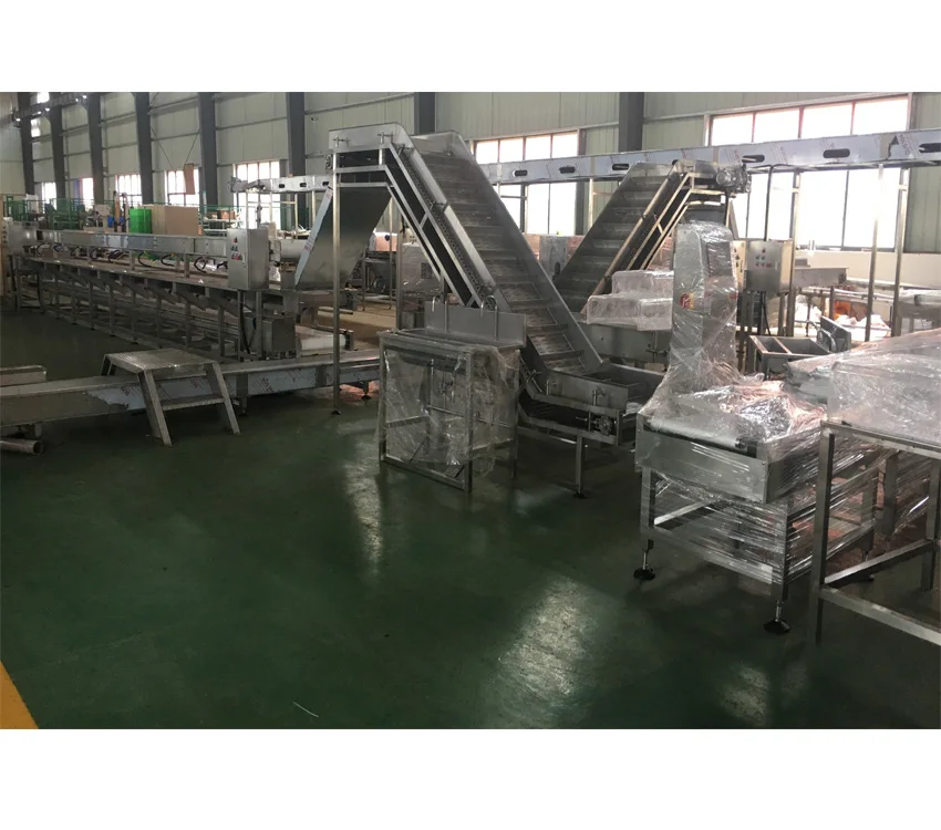 
ISO certification automatic canned sardine processing machine and sardine fillet processing line 