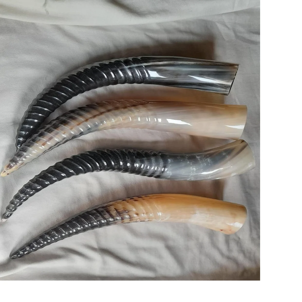 Выдувные рога для украшения дома на тему