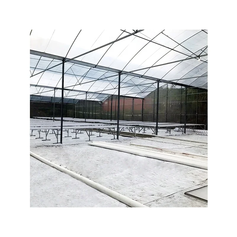 Low cost NFT hydroponics system for vegetable vertical hydroponic growing in greenhouse PVC pipe aquaponic system