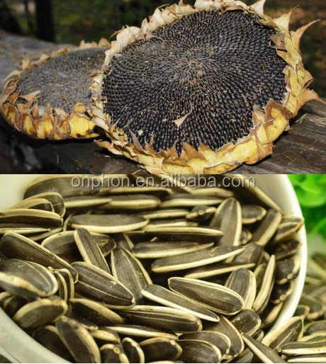 
Good Quality sunflower seeds thresher machine 