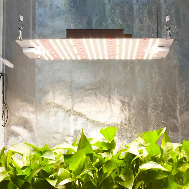 Waterproof Dimmable Full Spectrum Quantum Panel 100w 200w 300w 400w 600w Led Grow Lights Board For Greenhouse Medical Plant