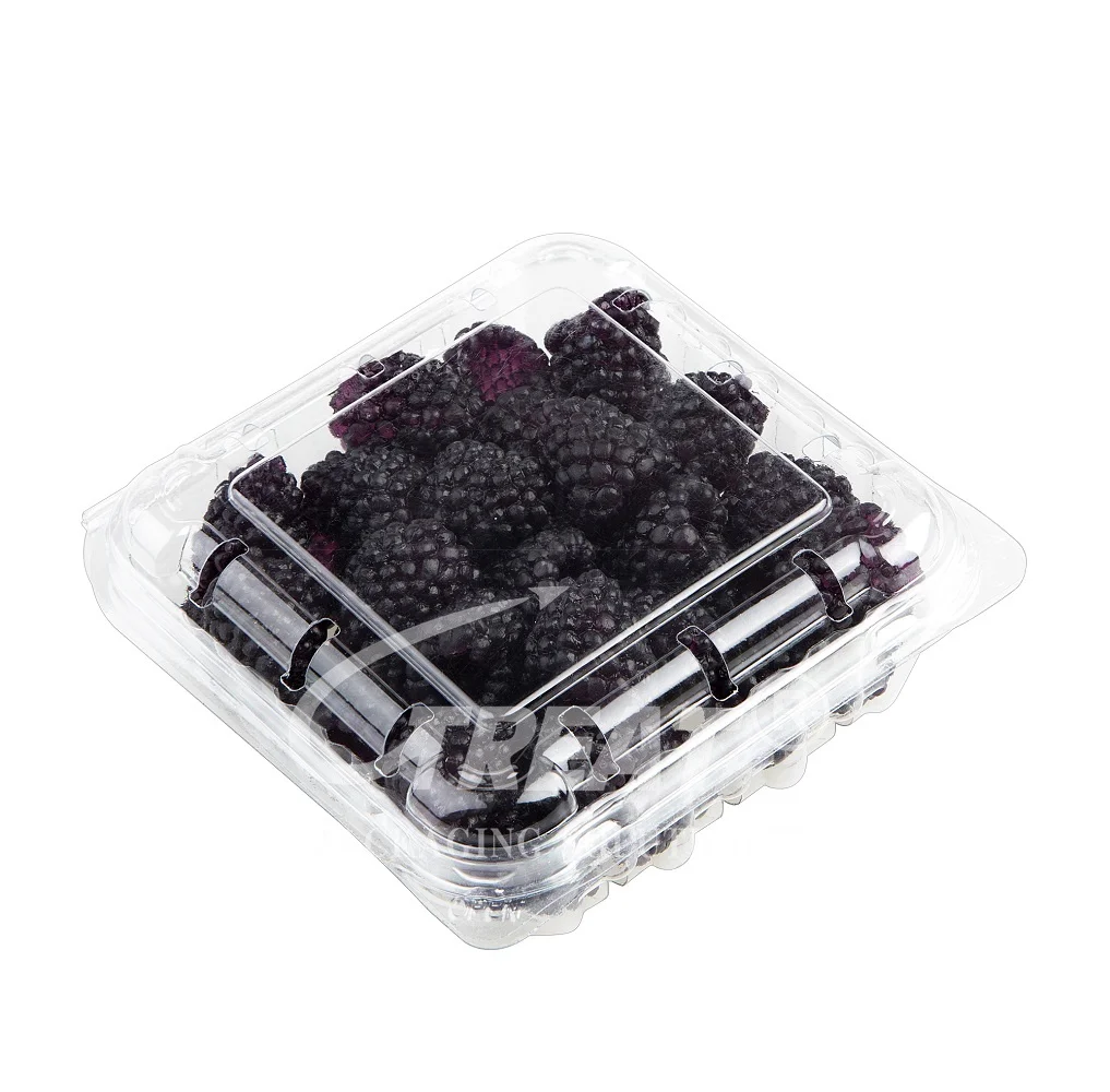 Clam shell Fruit Containers Blueberries Box