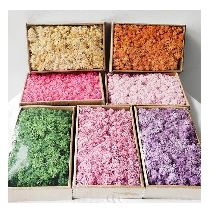 scandinavian moss Ready Made Customized Office Decoration 3D Real Natural Moss Wall Art Frame Wholesale Reindeer Moss Stabilized