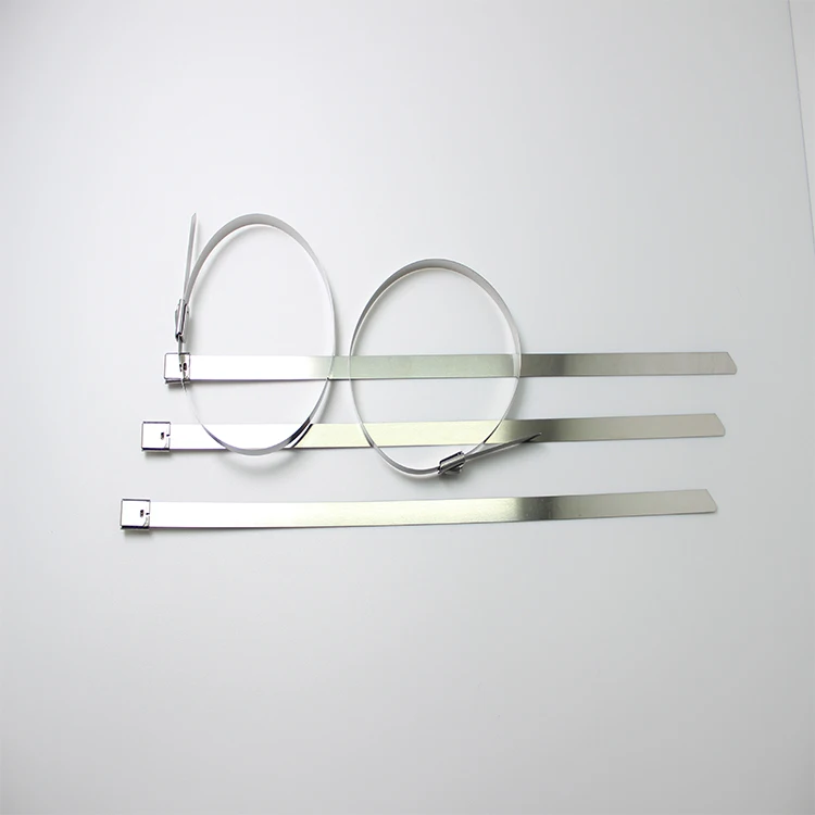 
Professional Manufacturer Stainless Steel Barb Cable Tie 