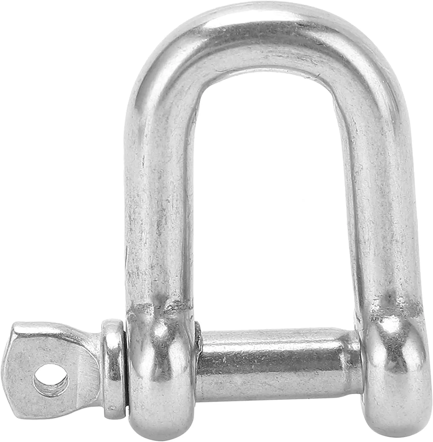 Screw Pin D Shackle Stainless Steel for Marine
