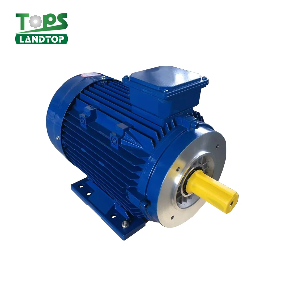 MS 50HZ Three Phase Induction Motor LANDTOP Electric Motor 380v 400v Factory direct sales