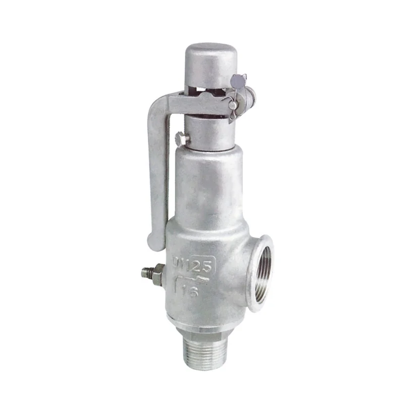 Pressure Relief Valves Cast Iron Spring Loaded Full Lift Air Water Steam Boiler thread Safety Valve