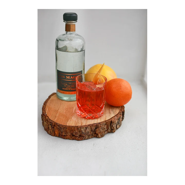 Food Grade Mexico Sotol Los Magos Blanco Premium 750 Ml Organic Artisanal Spirit Manufacturer