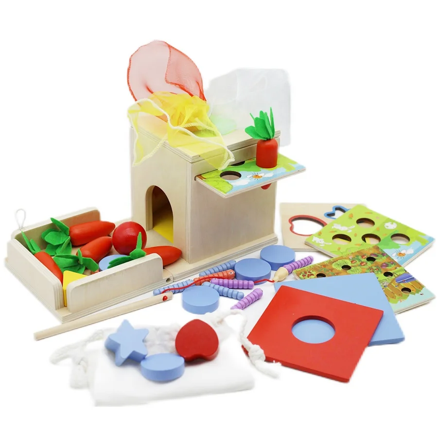 Carrot Harvest Object Permanence Coin Tissue Box Wooden Toy Baby 4 for 1 Montessori Educational Toy Fine Motor Skills