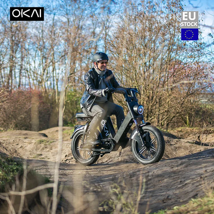 
OKAI EB200 Eu warehouse ebike italian lowrider hidden battery 20 inch full suspension electric bike 