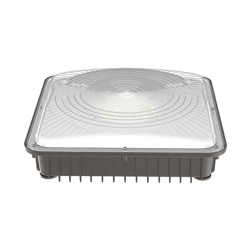 AC100-277V/50-60 Гц 40 Вт 60 Вт 80 Вт 100 Вт 120 Вт ETL светодиодные светильники для масляной станции