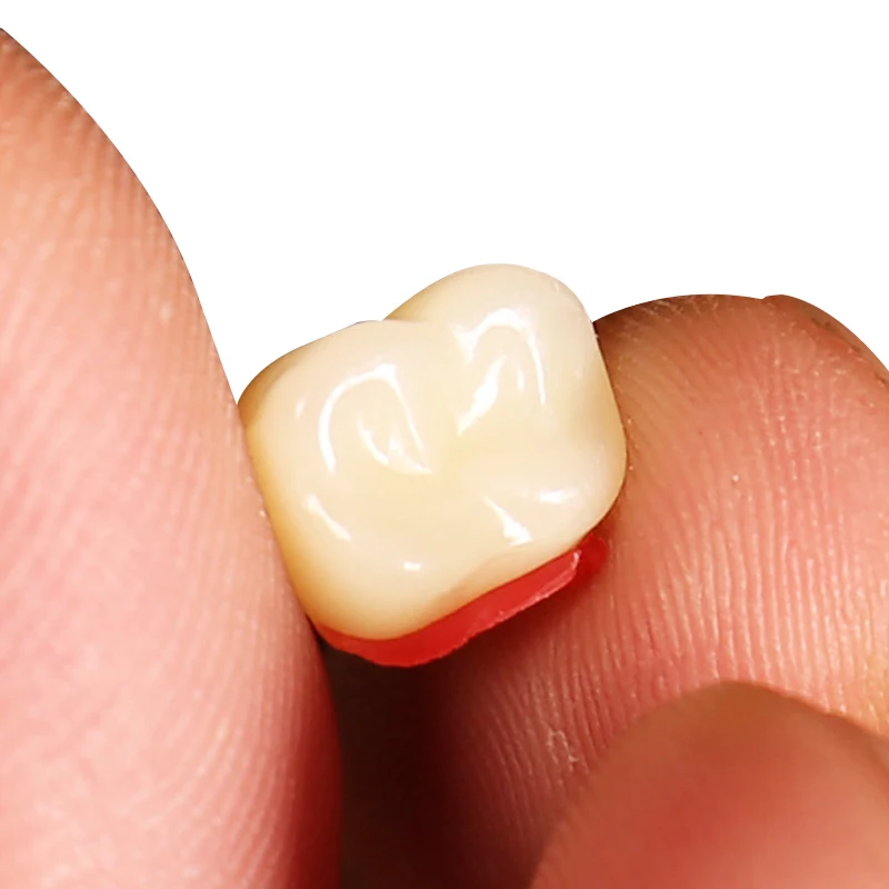 
Anterior False Teeth Denture False Teeth Flexibility High Quality Dental Hospital Practical False Teeth Material Dentures 