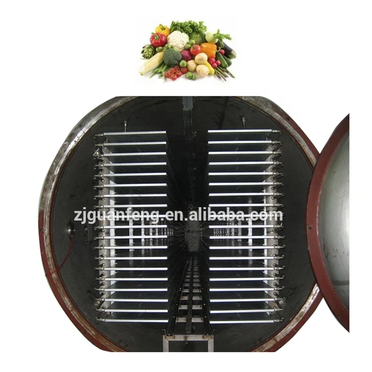 China Grape Freeze Drying machine Food vacuum Lyophilizer equipment for Fruit food Processing line
