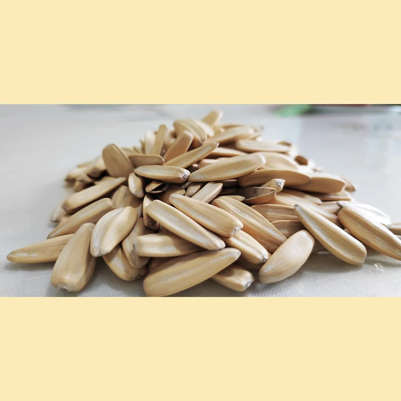 China Manufacture Wholesale Quality Roasted White Sunflower Seeds For Sale