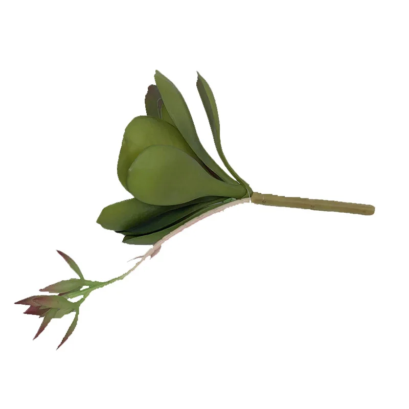 Packaging Customization Succulent Artificial Mini Sale Latest Artificial Plants