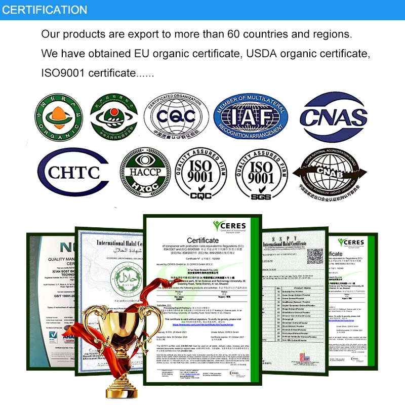 Best selling sweet corn cob fresh sweet corn in vacuumed pack good quality sweet corn cob for sale