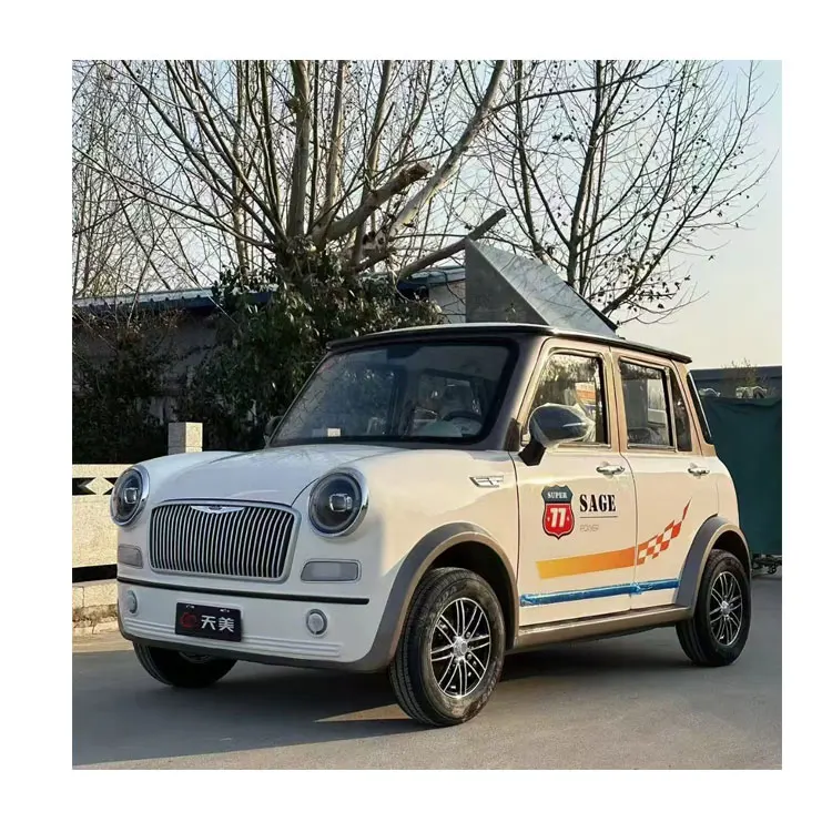 Cheap And Hot Sale Smart New Energy Adult Four Wheel Mini Electric Small Car Made In China Electric Car