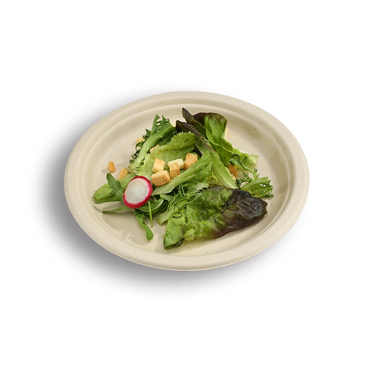 Hot Cheap Take Away Custom Disposable Plates Printed Sugarcane Disposable Plate