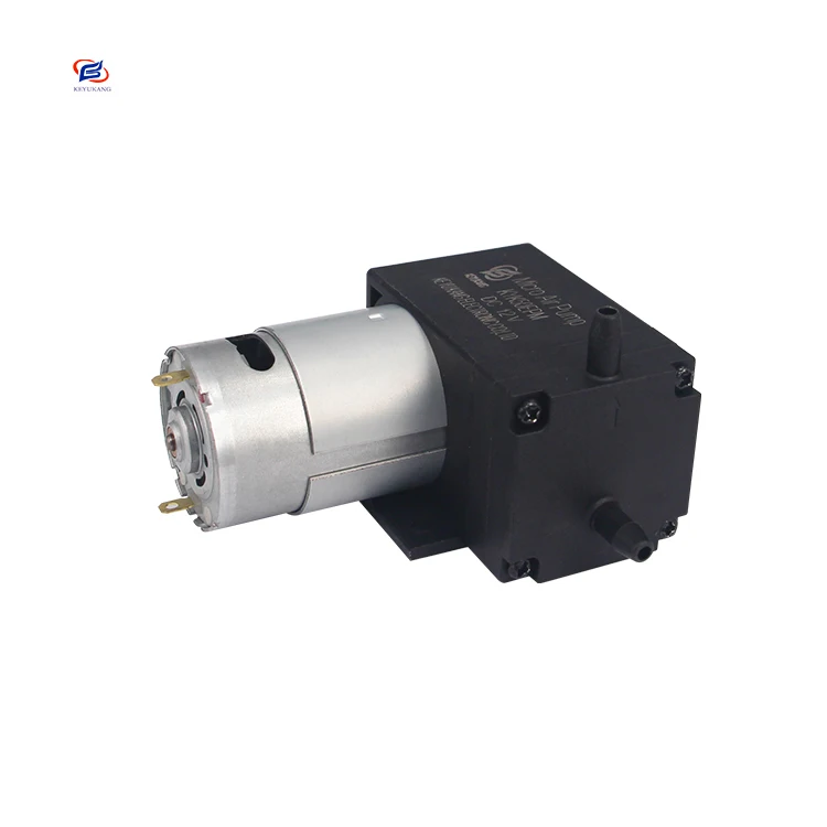 Fast Shipping Beauty Equipment DC High Pressure Mini Air Pump