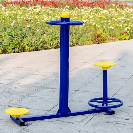 Sit and stand waist twister