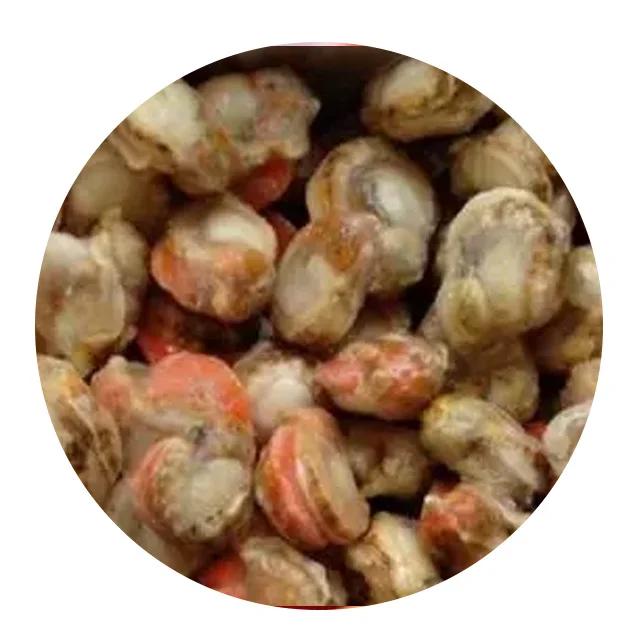 
Da lian To Provide High Quality Scallop With Minced Garlic 