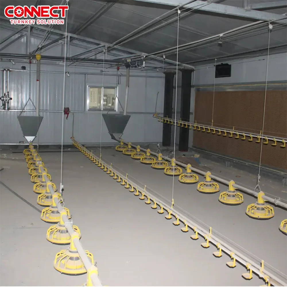 Complete Capacity Automatic Poultry Chicken Breeder Broiler Layer Farm Building Henhouse Raising Farming Equipment System Set