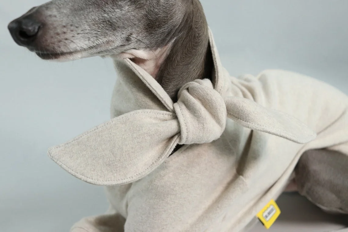 Qiqu Pet Supplies Custom New Designer Italian Greyhound Stylish Ribbon Point T-shirt Wear Sweatshirt with Bow Tie for Small Dog