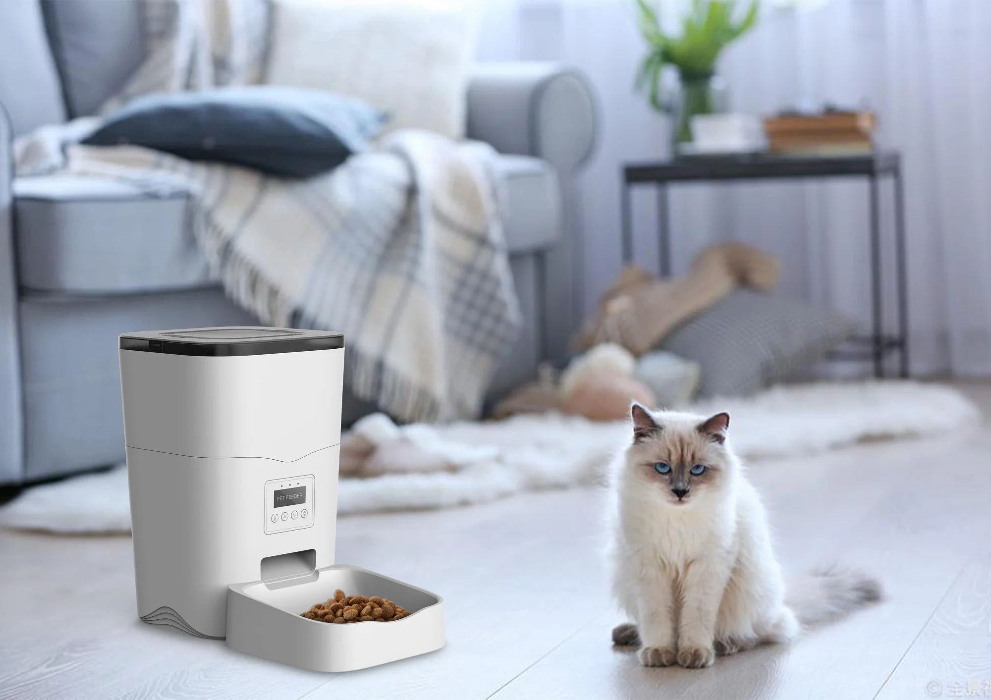 Custom Wifi Remote Pet Automatic Feeder App Smart Food Bowl 3L Dual Power Supply Grade