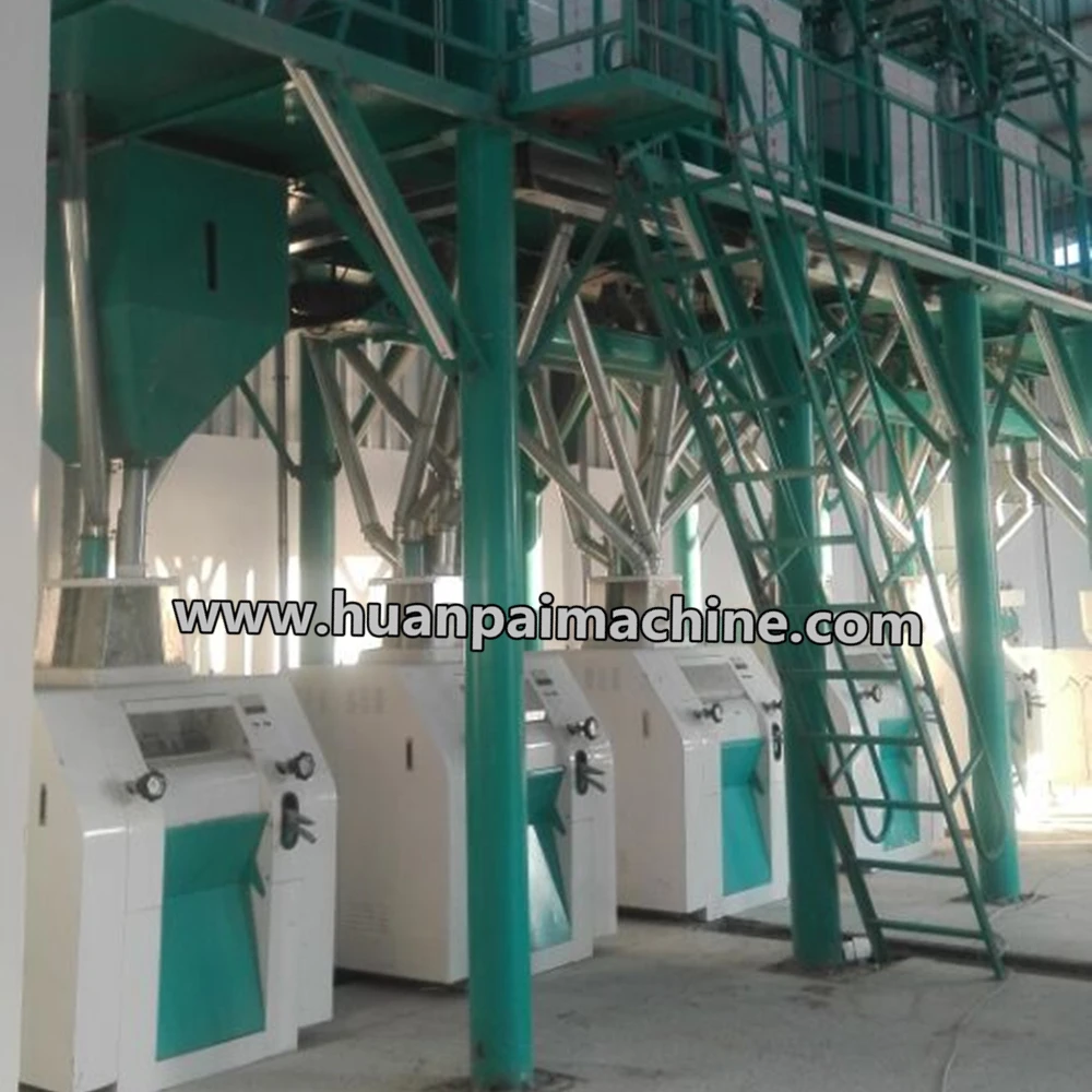 50t /24h industrial grain mill/roller mill/wheat flour mill plant