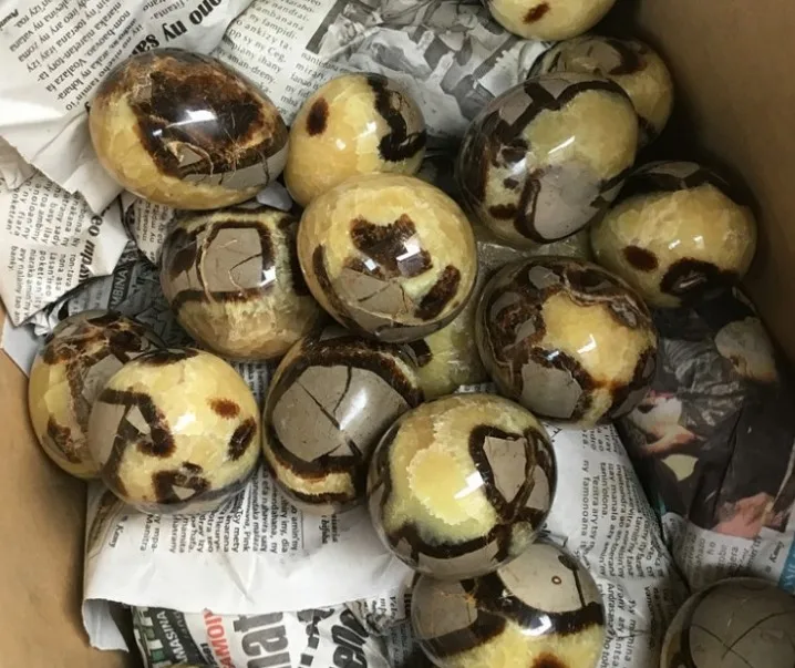 Wholesale natural beetle stone tortoiseshell stones eggs septarium egg for decoration