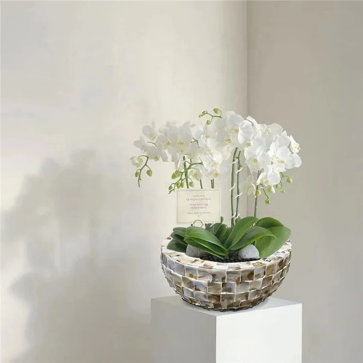 High Quality Luxury Mother of Pearl Shell Vase Round Bowl MOP Planter Pot from China