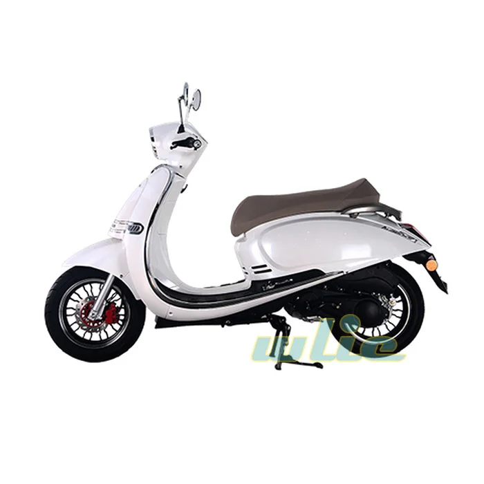 High Performance 50/125cc 4 Stroke Engine 50 Cc Scooter Gas with Eec 50cc 125cc Swan & SwanX(Euro 4)