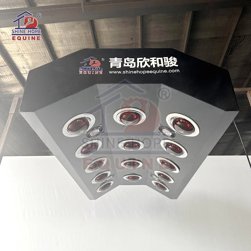Equine Solarium Systems for Horses Health