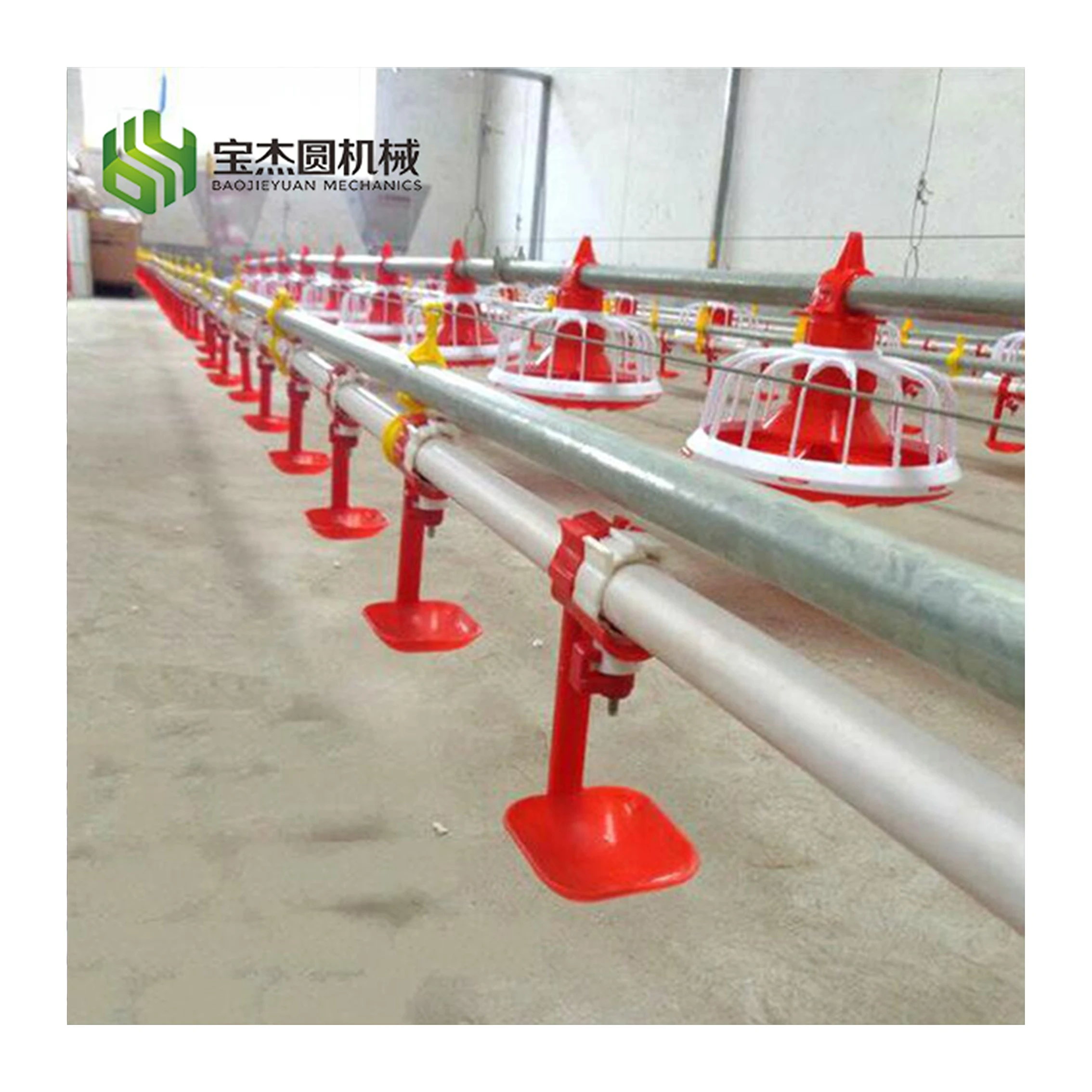 Modern Automatic Broiler Breeder Equipment System Plant Line Layer Farm Chicken House Poultry Equipment for Chicken Feed