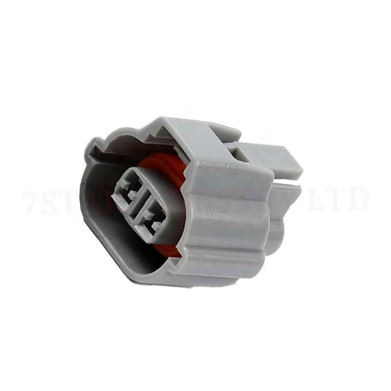 auto 2 pin  wire harness connector plug DJ7027A-2.2-21  with terminals