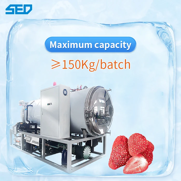 Pharmaceutical Lab Lyophilizer Freeze Dryer Chemical Food Vegetable Fruit Industrial Vacuum Freeze Drying Machine