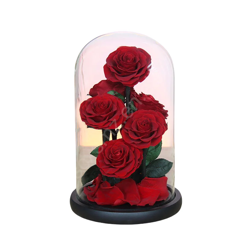 Factory Directly Supply 2024 Hot Selling Eternal Rose Morthers Day Preserved Flower Forever Roses In Glass Dome Led
