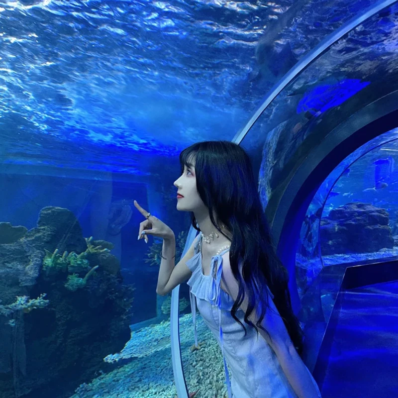 Factory direct high quality clear thick panel 100 mm acrylic fish tank aquarium underwater acrylic glass tunnel aquarium