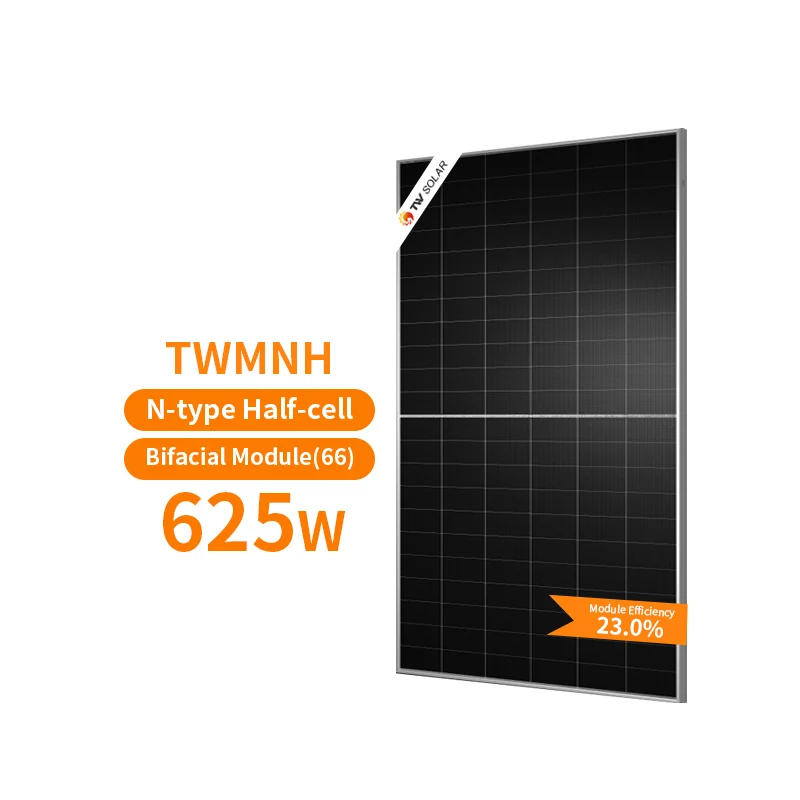 Двойные солнечные панели Tongwei 625 Вт N-типа 610 615 620 630 TWMNH-66HD двойной стеклянный PV-модуль