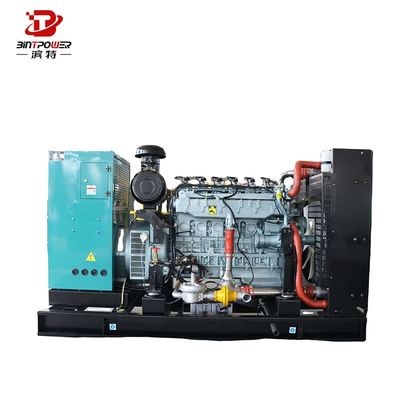 200Kw Natural Gas Generator Set Water-Cooled With High Temperature Resistance Electric Start For Lpg Biogas Turbine Generator