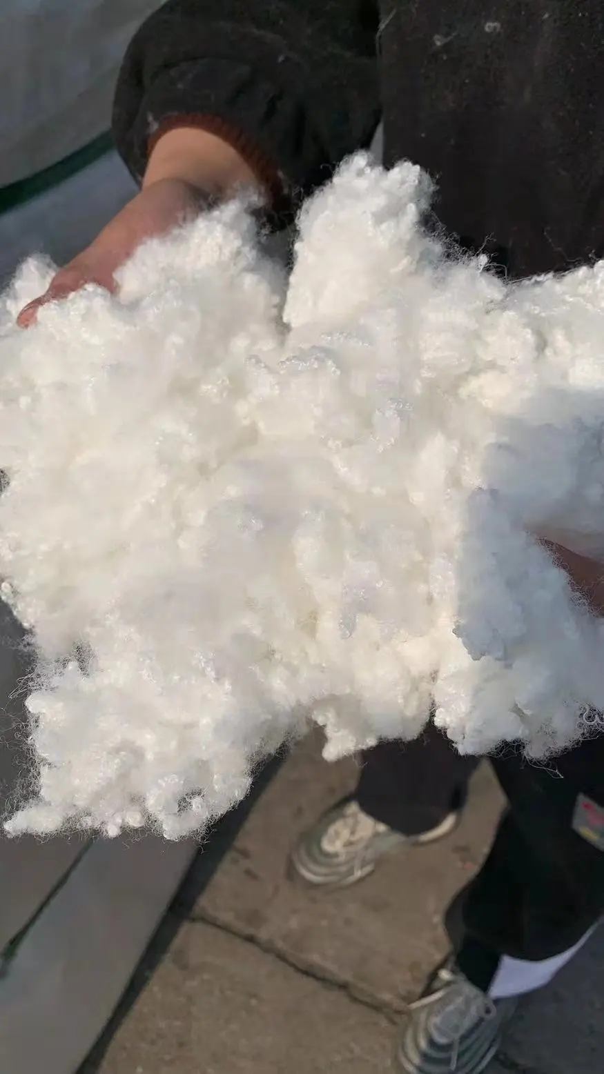 2.5D*51MM Hollow Conjugated Silicon Recycled Polyester Staple Fiber for Filling