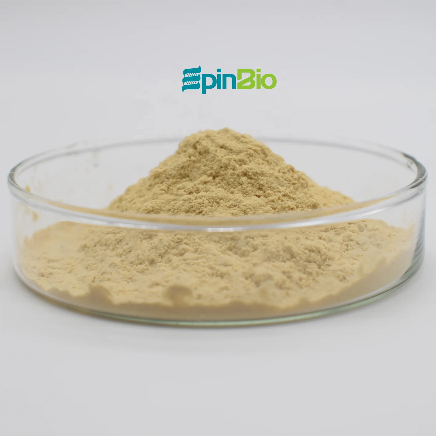 Hot Sell Food Additive Selenium Yeast 2000ppm