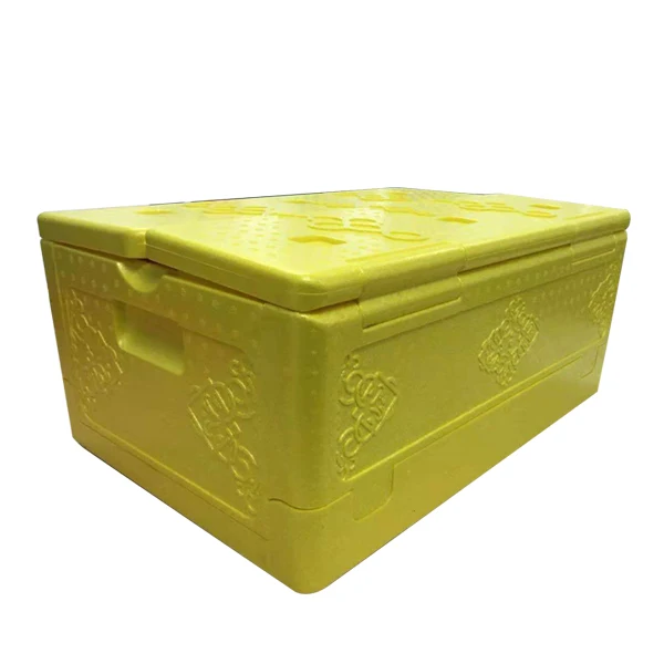 Camping Cold Chain Epp Foam Insulated Container cooler box