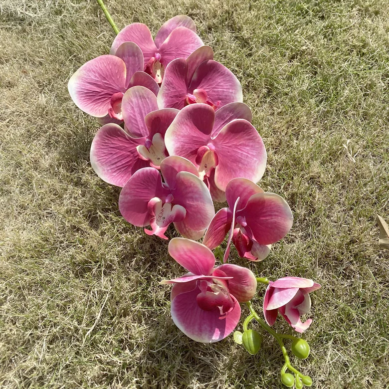 CAWELL Wholesale White Pink Real Touch 3D Orquideas Latex Cymbidium Flowers Artificial Orchid Cymbidium Phalaenopsis Flower