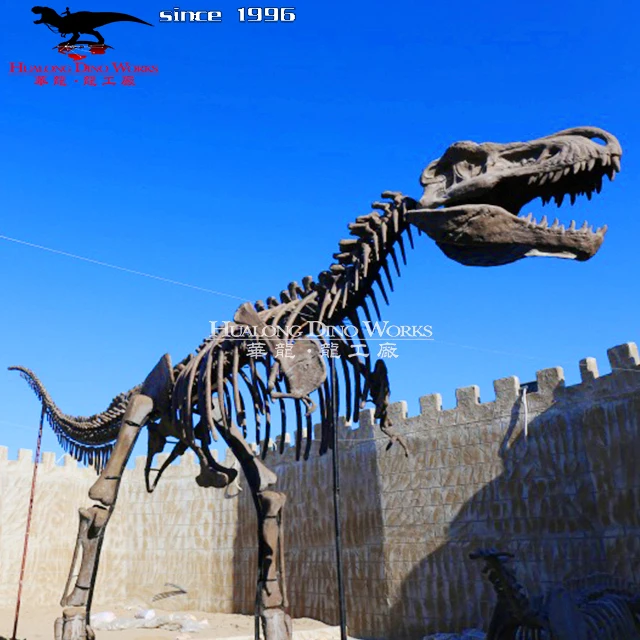 Outdoor Simulation Dinosaurs Skeleton Real Dinosaur Bone Fossils for Sale